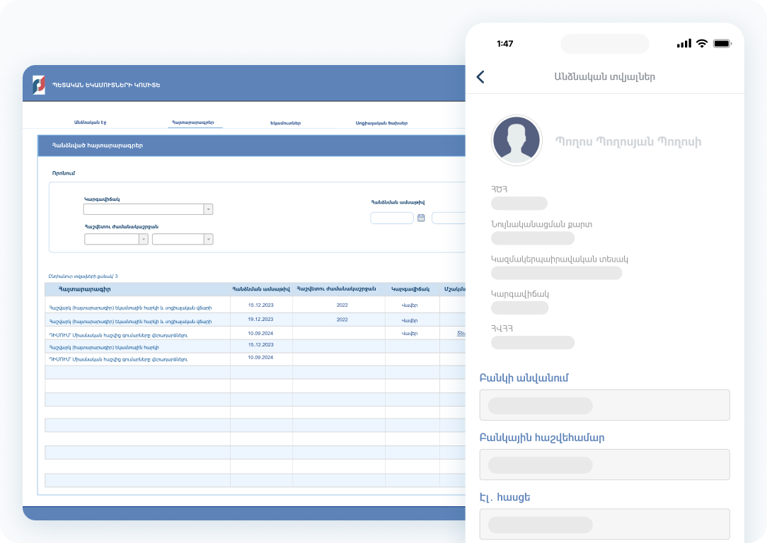Income self-declaration system